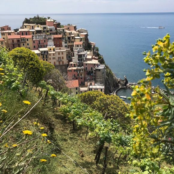 christinali1030